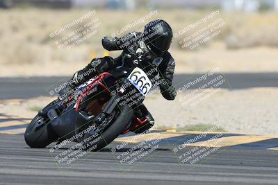 media/Apr-26-2025-BRL Bagger Racing League (Sat) [[9e270f465f]]/2-Liquid and Air Cooled Twins Qualifying/